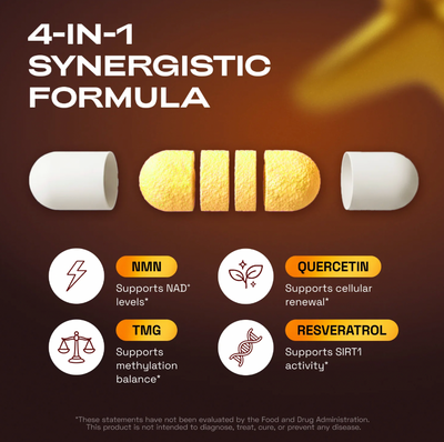 SIEGEN NMN Supplement