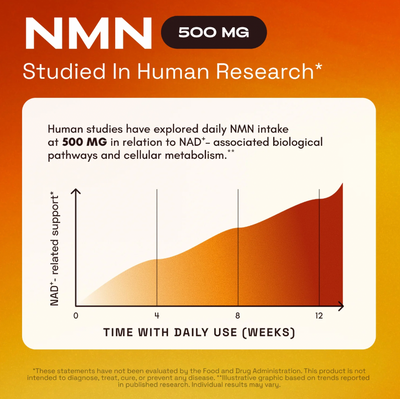 SIEGEN NMN Supplement